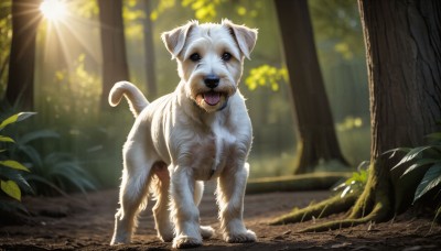 HQ,solo,looking at viewer,open mouth,blue eyes,full body,outdoors,day,tongue,tongue out,blurry,tree,no humans,animal,leaf,sunlight,grass,plant,nature,forest,dog,light rays,realistic,animal focus,standing,signature,blurry background,fangs