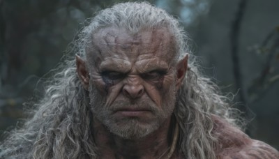 solo,long hair,looking at viewer,1boy,jewelry,closed mouth,upper body,white hair,male focus,earrings,pointy ears,blurry,blurry background,facial hair,scar,thick eyebrows,portrait,beard,scar on face,mature male,realistic,mustache,scar across eye,manly,old,old man,wrinkled skin,blue eyes,grey hair,grey eyes,frown,curly hair