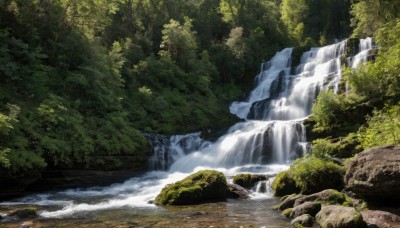 outdoors,day,water,tree,no humans,sunlight,nature,scenery,forest,rock,river,waterfall,bush,landscape,moss,stream