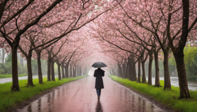 1girl, solo, holding, outdoors, day, pants, from behind, tree, coat, umbrella, grass, cherry blossoms, scenery, walking, holding umbrella, road, transparent, path, transparent umbrella