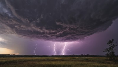 outdoors,sky,cloud,tree,no humans,cloudy sky,grass,nature,scenery,sunset,electricity,lightning,landscape,purple sky,horizon,field