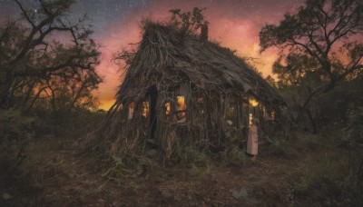 1girl,solo,standing,outdoors,sky,tree,coat,window,night,grass,plant,building,star (sky),nature,night sky,scenery,forest,starry sky,lantern,door,house,no humans