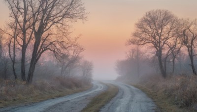 outdoors,sky,cloud,water,tree,no humans,grass,nature,scenery,forest,reflection,sunset,bare tree,river,landscape,lake,fog,pokemon (creature),road,orange sky,path