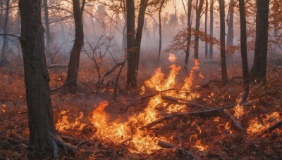 outdoors,tree,no humans,leaf,grass,fire,nature,scenery,forest,autumn leaves,bare tree,autumn,orange theme,burning,sunlight,landscape