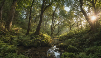 outdoors, sky, day, tree, no humans, sunlight, nature, scenery, forest, light rays, rock, sun, landscape