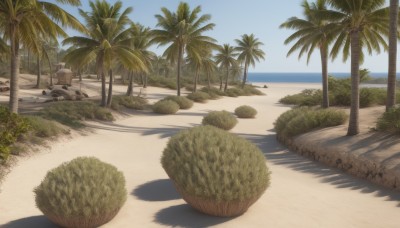 outdoors,sky,day,water,tree,blue sky,no humans,shadow,ocean,beach,grass,plant,nature,scenery,rock,sand,palm tree,bush,shade,shore,cloud,ground vehicle,motor vehicle,horizon,car,road,island