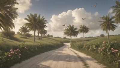 flower,outdoors,sky,day,cloud,tree,blue sky,no humans,shadow,bird,beach,sunlight,cloudy sky,grass,plant,nature,scenery,pink flower,sand,palm tree,road,bush,shade,summer,path,forest,field,landscape