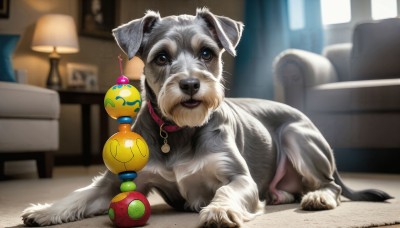 HQ,solo,looking at viewer,brown eyes,full body,indoors,blurry,collar,no humans,window,depth of field,blurry background,animal,chair,table,curtains,couch,ball,dog,realistic,lamp,animal focus,red collar,animal collar,pet,lying,pokemon (creature),on stomach