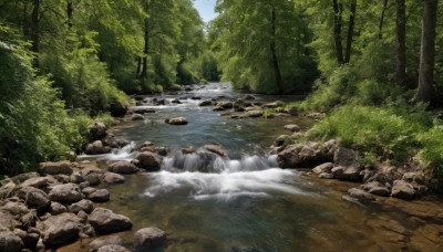 outdoors,sky,day,water,tree,no humans,nature,scenery,forest,rock,bush,river,waterfall,landscape,stream,blue sky,grass,plant