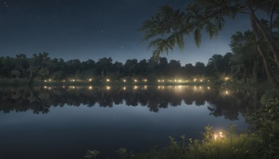 outdoors,sky,water,tree,no humans,night,glowing,grass,plant,star (sky),nature,night sky,scenery,forest,starry sky,reflection,light,dark,fireflies,lantern,lake,reflective water