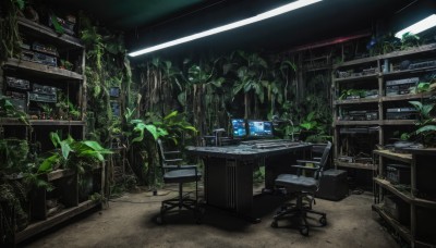 indoors,no humans,leaf,chair,table,plant,scenery,potted plant,computer,monitor,keyboard (computer),desk,light,lamp,dark,office chair