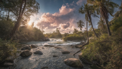 outdoors, sky, day, cloud, water, tree, blue sky, no humans, sunlight, cloudy sky, grass, plant, nature, scenery, forest, sunset, rock, palm tree, sun