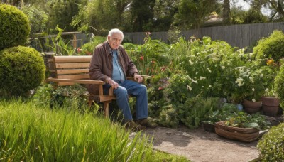 solo,looking at viewer,smile,short hair,shirt,long sleeves,1boy,holding,sitting,jacket,flower,white hair,male focus,outdoors,open clothes,shoes,day,collared shirt,pants,open jacket,tree,facial hair,brown footwear,grass,blue shirt,plant,denim,scenery,beard,brown jacket,jeans,mature male,stubble,blue pants,potted plant,bench,bush,old,old man,park bench,garden,wrinkled skin,closed mouth,closed eyes,necktie,dark skin,black footwear,dark-skinned male,realistic,bald,leather,leather jacket,on bench