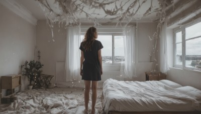 1girl,solo,long hair,brown hair,shirt,dress,standing,short sleeves,barefoot,day,indoors,from behind,black dress,tree,pillow,black shirt,bare legs,window,bed,on bed,chair,table,plant,curtains,box,scenery,light particles,snow,arms at sides,facing away,potted plant,bedroom,wide shot,cardboard box,drawer