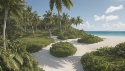 outdoors,sky,day,cloud,water,tree,blue sky,no humans,shadow,ocean,beach,cloudy sky,grass,plant,nature,scenery,sand,palm tree,horizon,bush,shade,summer,shore,forest,road