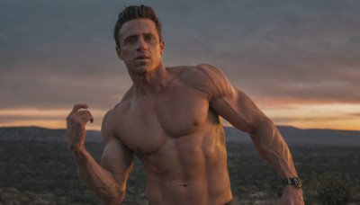 solo,looking at viewer,short hair,black hair,1boy,navel,closed mouth,nipples,upper body,male focus,outdoors,sky,hand up,muscular,facial hair,abs,pectorals,muscular male,veins,topless male,sunset,watch,realistic,wristwatch,veiny arms,blurry,blurry background,bara,large pectorals,undercut