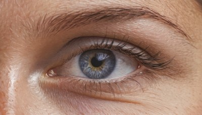 solo,looking at viewer,blue eyes,eyelashes,no humans,animal,cat,close-up,1other,reflection,realistic,animal focus,eye focus,1girl,yellow eyes