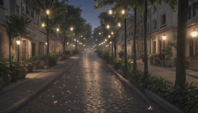 outdoors,sky,tree,no humans,window,night,plant,building,star (sky),night sky,scenery,door,potted plant,light,road,lamp,bush,lamppost,street,path,pavement,cloud,city,house