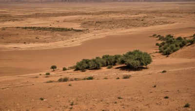 outdoors,sky,day,tree,no humans,beach,grass,plant,nature,scenery,rock,sand,road,bush,landscape,desert,shore