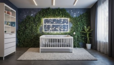 outdoors,sky,indoors,tree,no humans,window,night,plant,curtains,star (sky),night sky,scenery,starry sky,door,potted plant,bush,flower pot,wooden floor