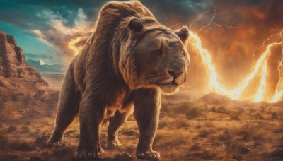 solo,outdoors,sky,cloud,no humans,animal,cloudy sky,fire,claws,mountain,realistic,electricity,lightning,bear,lion,day,signature,scenery,rock,animal focus,molten rock