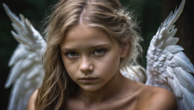 1girl,solo,long hair,looking at viewer,blonde hair,brown hair,bare shoulders,brown eyes,closed mouth,collarbone,nude,wings,blurry,lips,depth of field,feathers,portrait,feathered wings,freckles,angel wings,realistic,white wings,angel,green eyes