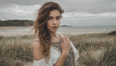 1girl,solo,long hair,looking at viewer,blue eyes,brown hair,dress,bare shoulders,upper body,outdoors,parted lips,sky,day,cloud,white dress,blurry,lips,cloudy sky,hand on own chest,realistic,field,overcast,jewelry,necklace,ring,grass,wind,scenery