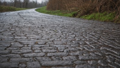 outdoors,day,tree,no humans,traditional media,grass,nature,scenery,forest,road,path,pavement,blurry,ground vehicle,motor vehicle,realistic,bare tree