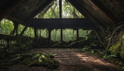 outdoors,day,tree,no humans,leaf,sunlight,grass,plant,nature,scenery,forest,rock,ruins,green theme,path,moss,overgrown,vines