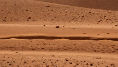 monochrome,outdoors,no humans,shadow,beach,scenery,sand,sepia,brown theme,desert,footprints,sky,rock,dust