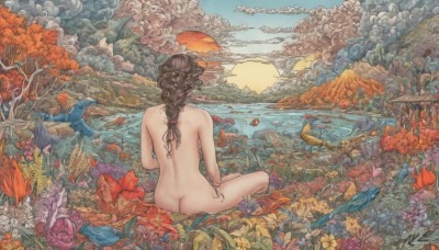 1girl,solo,long hair,brown hair,sitting,ass,braid,flower,nude,outdoors,sky,cloud,water,from behind,bracelet,tree,completely nude,single braid,bird,leaf,back,traditional media,nature,scenery,fish,mountain,sun,facing away,watercraft,wide shot,boat,landscape,lake,surreal,coral,jewelry,ocean,cloudy sky,building,sunset,braided ponytail,horizon,branch