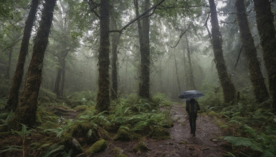 solo, 1boy, outdoors, from behind, tree, umbrella, plant, nature, scenery, forest