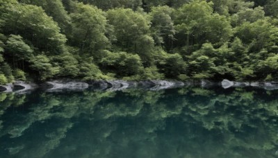 outdoors,water,tree,no humans,traditional media,nature,scenery,forest,rain,green theme,river,landscape