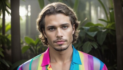 HQ,solo,looking at viewer,brown hair,shirt,1boy,brown eyes,closed mouth,upper body,male focus,collared shirt,blurry,lips,blurry background,facial hair,plant,portrait,nature,beard,freckles,curly hair,realistic,nose,mustache,stubble,blonde hair,green eyes,depth of field,sunlight,blue shirt,multicolored clothes