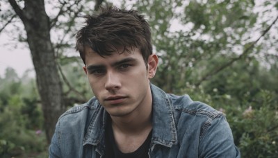 solo,looking at viewer,short hair,brown hair,shirt,black hair,1boy,brown eyes,jacket,upper body,male focus,outdoors,parted lips,day,blurry,tree,black shirt,blurry background,facial hair,denim,cherry blossoms,portrait,beard,realistic,stubble,denim jacket,closed mouth,flower,open clothes,open jacket,thick eyebrows,white flower,blue jacket,sideburns,leather,leather jacket