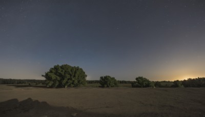 outdoors,sky,tree,no humans,night,shadow,grass,star (sky),nature,night sky,scenery,forest,starry sky,sunset,sand,road,gradient sky,water,ocean,beach,horizon,shore