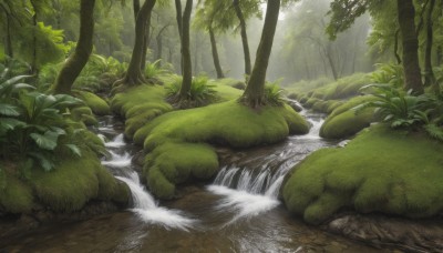 outdoors,day,water,tree,no humans,sunlight,grass,plant,nature,scenery,forest,rock,bush,green theme,river,waterfall,moss,stream