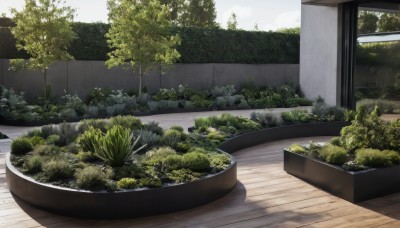 outdoors,day,tree,no humans,window,grass,plant,nature,scenery,wooden floor,potted plant,bush,garden,sky,cloud,water,shadow,forest,bowl