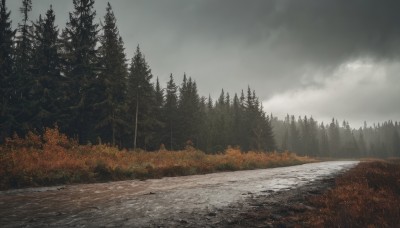 outdoors,sky,day,cloud,water,tree,no humans,cloudy sky,grass,nature,scenery,forest,mountain,river,landscape,grey sky,pine tree,snow,road,path