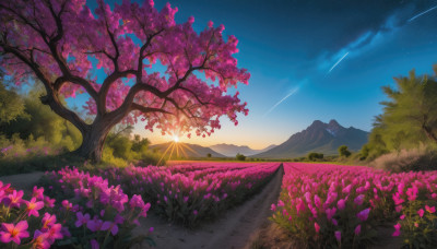 flower, outdoors, sky, cloud, tree, no humans, grass, cherry blossoms, star (sky), nature, night sky, scenery, pink flower, starry sky, sunset, mountain, road, field, flower field, landscape, mountainous horizon, shooting star, hill