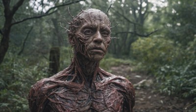 solo,looking at viewer,1boy,closed mouth,upper body,male focus,outdoors,day,blurry,black eyes,tree,no humans,blurry background,nature,forest,realistic,branch,horror (theme),portrait,monster