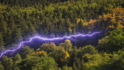 outdoors,sky,signature,tree,no humans,nature,scenery,forest,electricity,lightning,landscape,artist name,cloud,night,leaf,cloudy sky,green theme