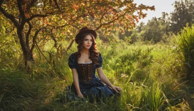 1girl,solo,long hair,breasts,looking at viewer,brown hair,hat,dress,cleavage,brown eyes,medium breasts,sitting,short sleeves,outdoors,day,puffy sleeves,tree,puffy short sleeves,lips,blue dress,grass,nature,scenery,corset,realistic,blue eyes,makeup,leaf,looking away,lipstick,red lips,field,bodice