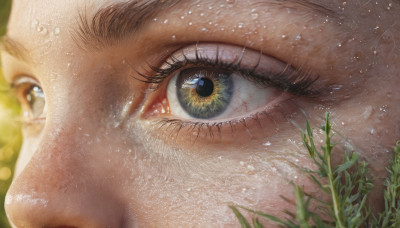 solo, looking at viewer, blurry, eyelashes, close-up, water drop, realistic, eye focus