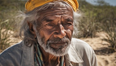 solo,looking at viewer,smile,shirt,1boy,hat,closed mouth,upper body,white hair,grey hair,male focus,outdoors,day,collared shirt,blurry,tree,blurry background,facial hair,mouth hold,portrait,beard,realistic,mustache,manly,old,old man,wrinkled skin,white shirt,pointy ears,grey eyes,scar