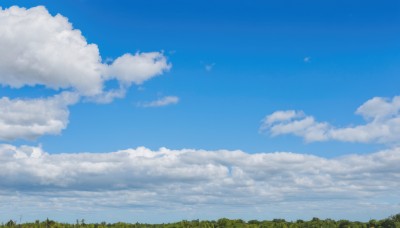 outdoors,sky,day,cloud,signature,tree,blue sky,no humans,cloudy sky,grass,nature,scenery,forest,landscape