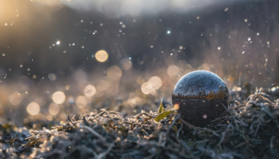 outdoors, sky, blurry, tree, no humans, night, depth of field, star (sky), scenery, space, planet, bokeh