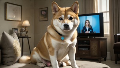 HQ,1girl,solo,looking at viewer,brown hair,jewelry,sitting,jacket,closed eyes,indoors,necklace,collar,cup,pillow,window,bed,animal,chair,formal,table,cat,suit,curtains,dog,realistic,clock,lamp,photo (object),bedroom,television,animal focus,monitor,picture frame,painting (object),picture (object),office,shiba inu,portrait (object),long hair,shirt,long sleeves,brown eyes,white shirt,black eyes,no humans,desk,computer,armchair,office chair,desk lamp