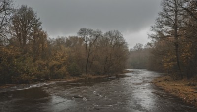 outdoors,sky,day,cloud,water,tree,no humans,cloudy sky,nature,scenery,forest,reflection,bare tree,river,fog,grey sky,landscape,overcast