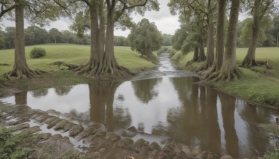 outdoors,sky,day,cloud,water,tree,no humans,grass,nature,scenery,forest,reflection,rock,river,landscape,lake,sunlight,reflective water